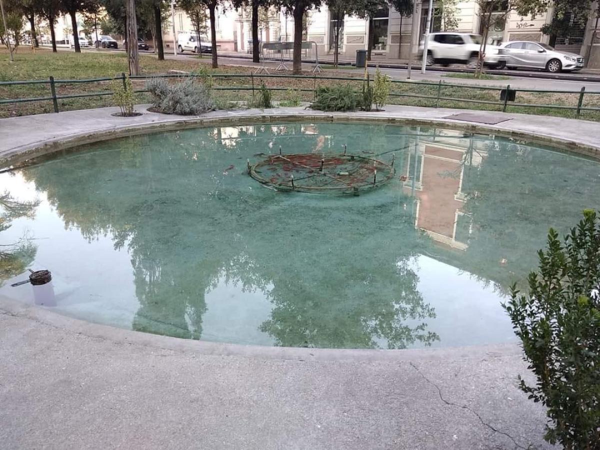 Taglio del pino e gestione del canile, le ricette di Bandecchi. Intanto rinasce la fontana dei giardini Lungonera