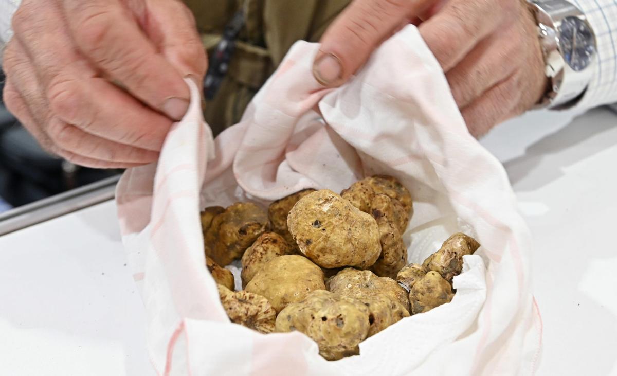 Gubbio Terra di Tartufo: rassegna di eccellenza tra gusto, cultura e tradizione