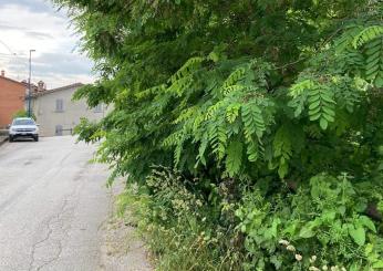 Via del Molino a Gubbio abbandonata al degrado, mentre Via della Vittorina è invasa dalla polvere del cantiere stradale. La protesta dei residenti