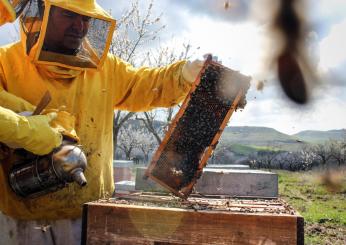 Gemellaggio tra Regione Umbria e Repubblica di Slovenia: salvaguardia delle api e biodiversità