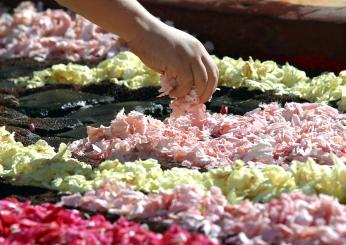 Torna Orvieto in Fiore, l’infiorata di Pentecoste. Tema principale: l’amore!