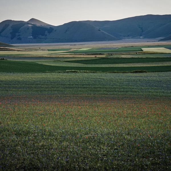 Neve a Castelluccio di Norcia a  fine aprile: ritorna l’inverno