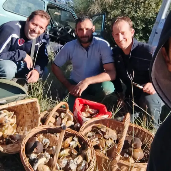 Raccolti mille funghi in Umbria da un gruppo di amici: sui social pretendono la denuncia