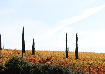 Perugia, sfruttamento di 70 stranieri all’interno di una impresa agricola: due imprenditori nei guai