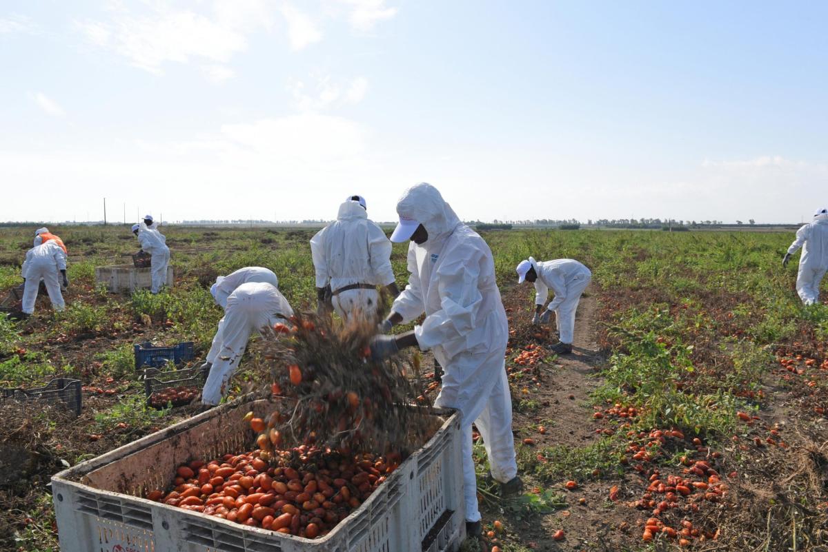 Caporalato in Umbria, Cgil: “Da cabina regia servono impegni precisi”