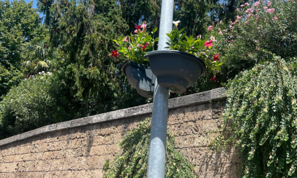 Terni, spariscono le fioriere dai pali. Il Comune rassicura: “Stiamo sostituendo le piante”