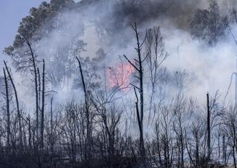 Incendio a Narni: fiamme tra Nera Montoro e San Liberato