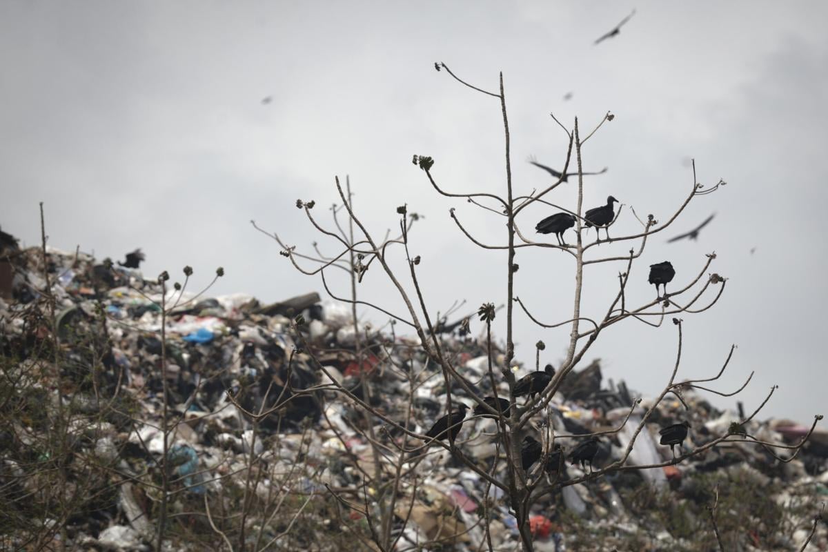 Gagliardi ai vertici dell’AURI: riambientamento della discarica di Colognola