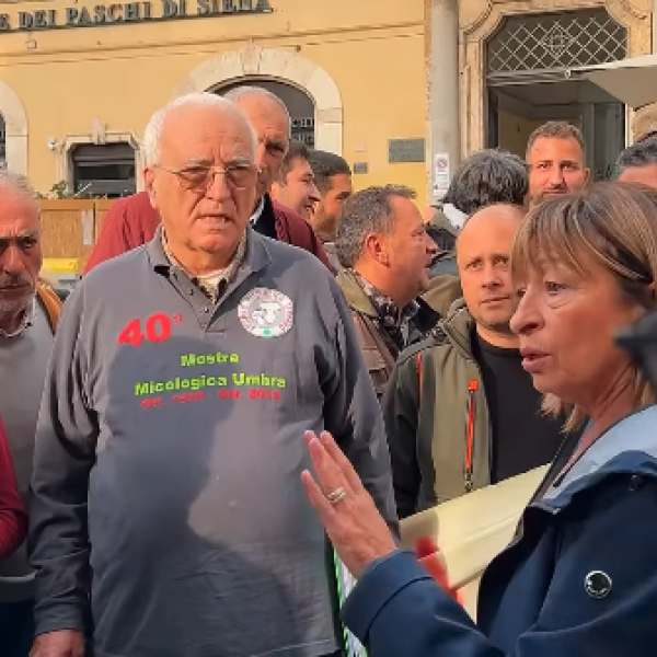 Raccolta funghi e tartufi, Tesei e maggioranza stoppano l’emendamento Fora