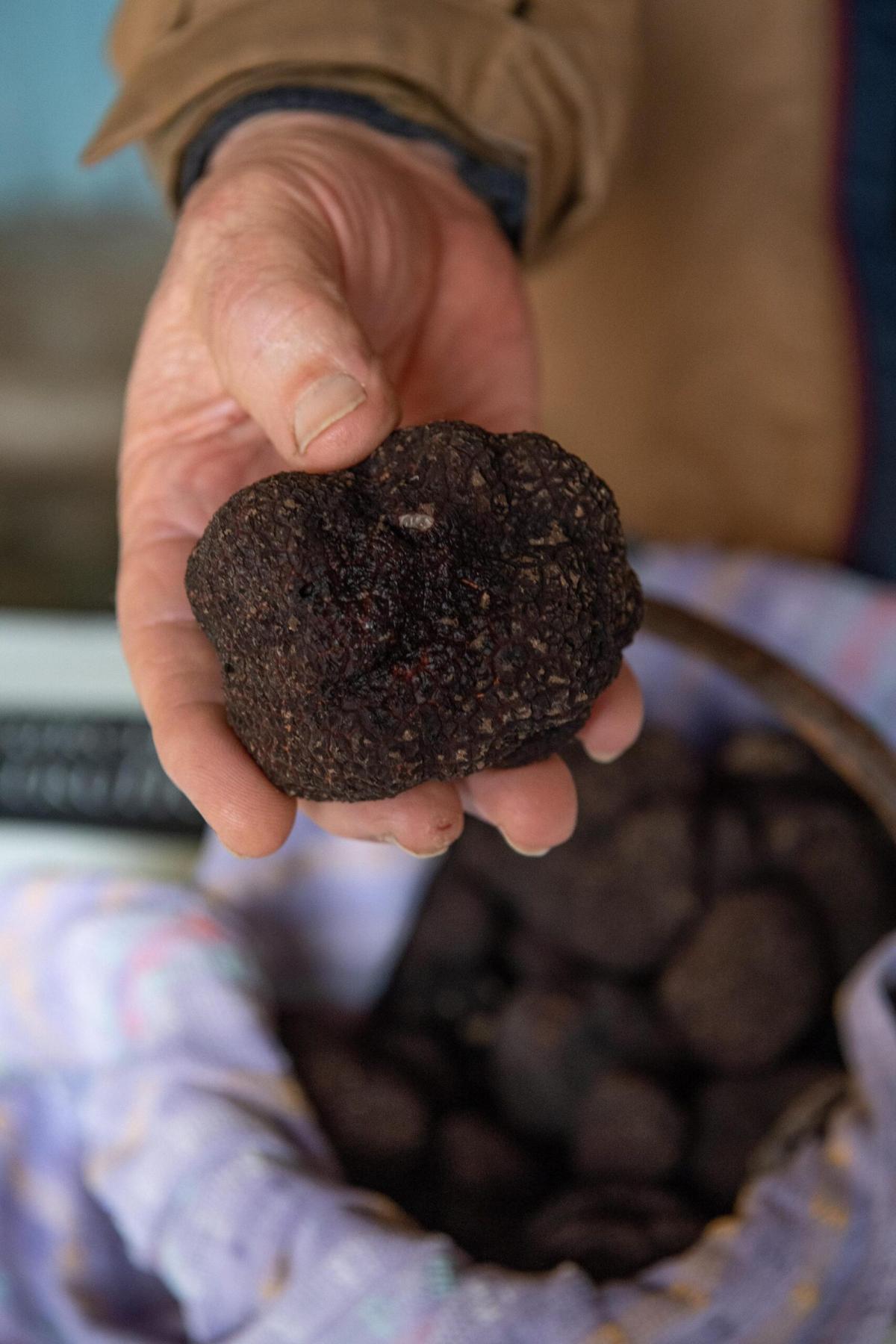 L’oro nero dell’Umbria: i migliori ristoranti dove mangiare il tartufo in Umbria