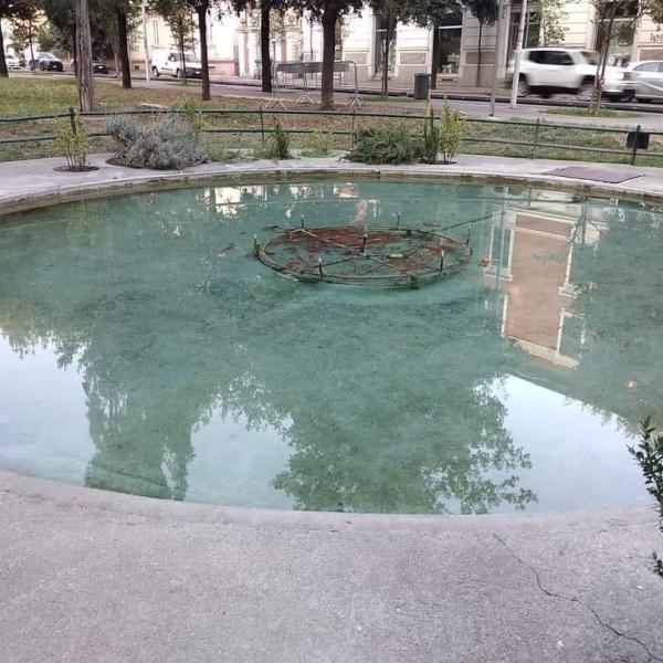 Taglio del pino e gestione del canile, le ricette di Bandecchi. Intanto rinasce la fontana dei giardini Lungonera