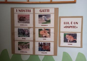 4 ottobre, Giornata mondiale degli animali: a Perugia c’è una Consulta per tutelarne i diritti