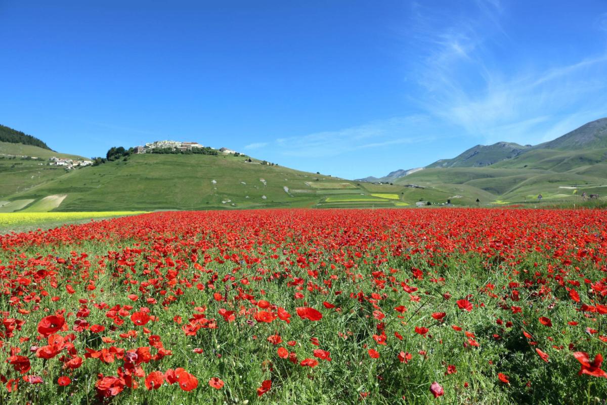 Rallentamento dell’economia in Umbria nel 2023, bene il turismo ma non l’occupazione