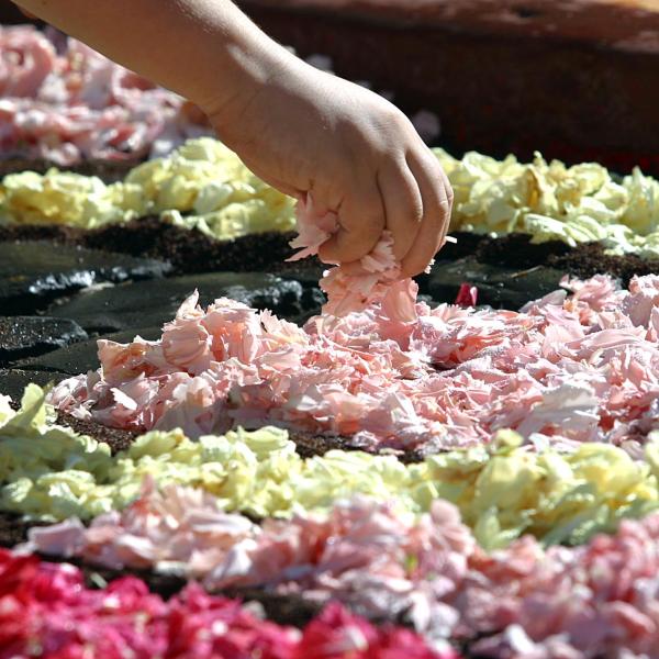 Torna Orvieto in Fiore, l’infiorata di Pentecoste. Tema principale: l’amore!