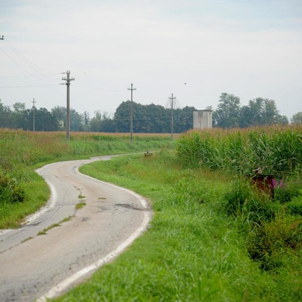 Allarme sicurezza a Ficulle: tavole chiodate lungo le strade di campagna