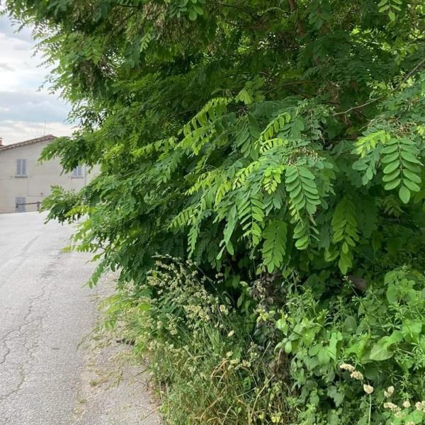 Via del Molino a Gubbio abbandonata al degrado, mentre Via della Vittorina è invasa dalla polvere del cantiere stradale. La protesta dei residenti