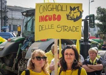 Perugia, agricoltori in piazza contro i cinghiali