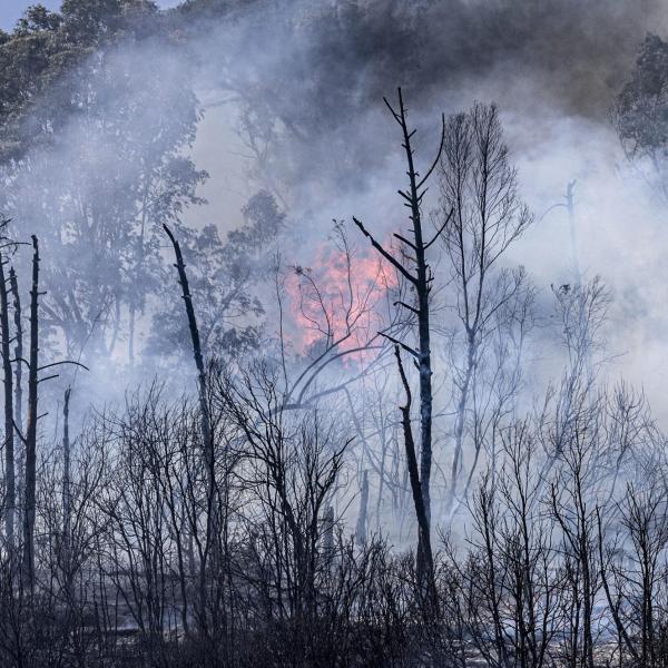 Incendio a Narni: fiamme tra Nera Montoro e San Liberato