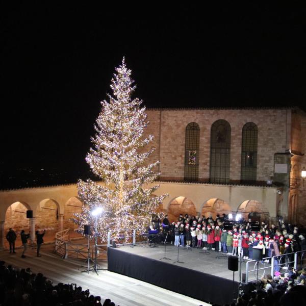 AssiSì, Armando Testa firma la nuova campagna di promozione del Natale 2024: tutto il programma