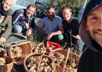 Raccolti mille funghi in Umbria da un gruppo di amici: sui social pretendono la denuncia