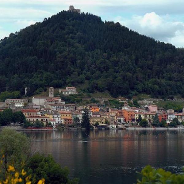 Piediluco, chiesto lo stop all’abbattimento degli alberi: “Sospendere l’ordinanza”