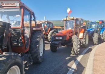 Agricoltura umbra in fermento: in arrivo un “tavolo verde” straordinario