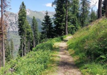 Foligno, Parco dell’Altolina si rinnova grazie ai fondi del Psr: una culla di biodiversità