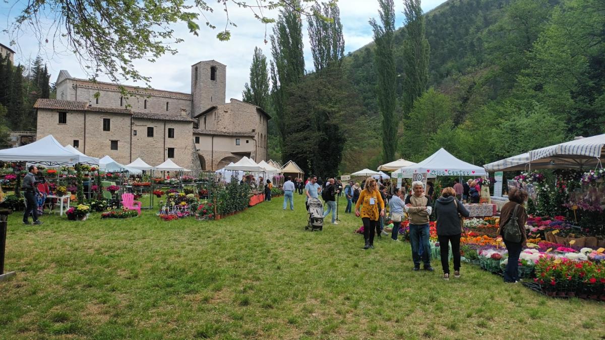 Con Primavera in Valnerina, il borgo di Sant’Anatolia di Narco torna a fiorire: qui il programma della mostra mercato