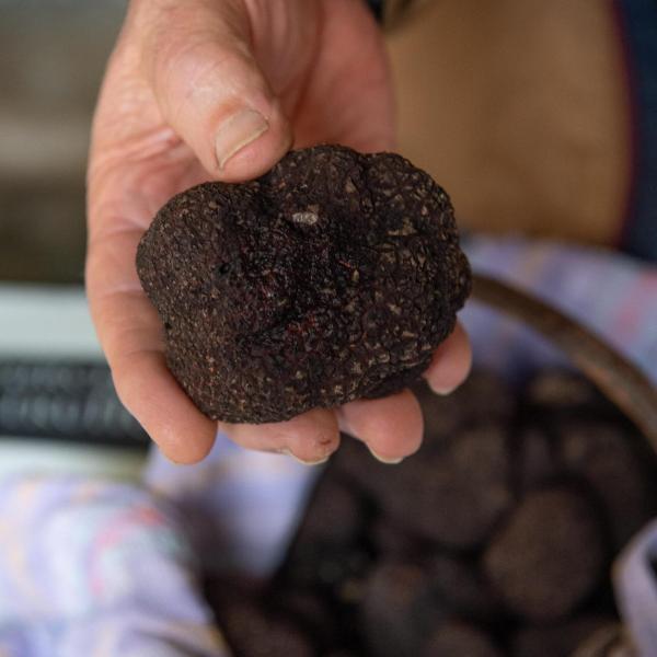 L’oro nero dell’Umbria: i migliori ristoranti dove mangiare il tartufo in Umbria