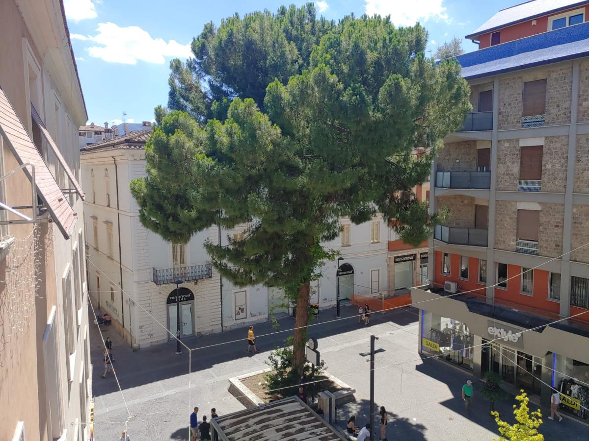 Rischio troppo elevato, il pino di largo Villa Glori a Terni sarà tagliato