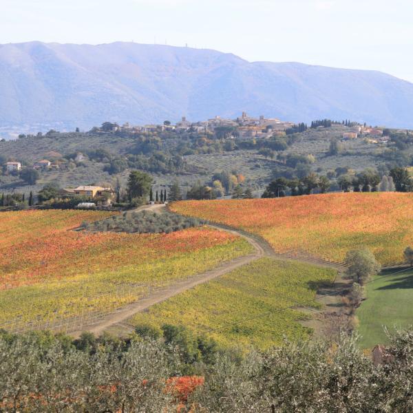 Resistenza Naturale. A Spoleto per il Festival dei Due Mondi torna la rassegna di cinema sulla sostenibilità ambientale