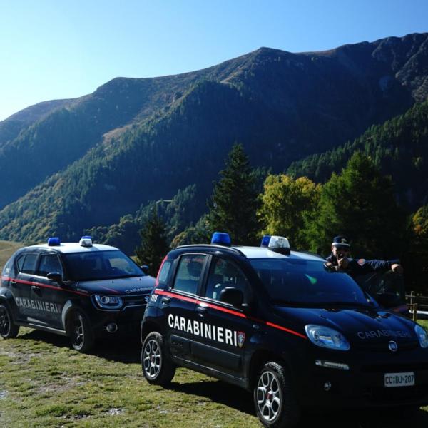 Irregolarità rilevate dai Carabinieri Forestali nell’operato di un’azienda nel Comune di Fossato di Vico. Portate alla luce diverse violazioni paesaggistiche