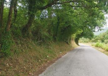 Spoleto, proseguono gli interventi di manutenzione del verde e non solo. I dettagli della settimana