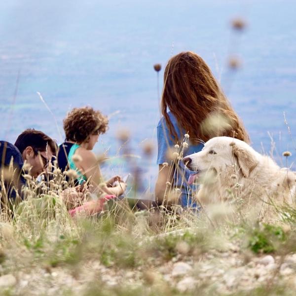 Cammino per gli animali, da Assisi a Roma, in nome dell’amore e del rispetto di tutte le creature: il programma