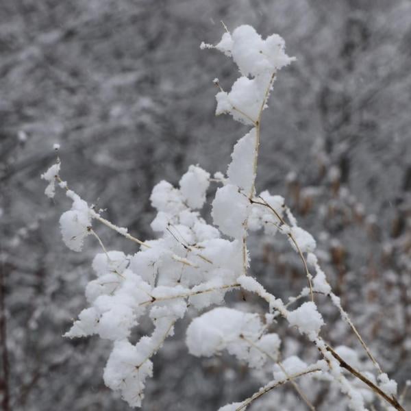 Freddo, piogge e neve: l’Umbria si prepara all’assalto del maltempo