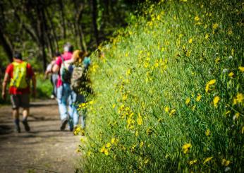 Orvieto Walking Marathon, tutto pronto per domenica 14 aprile