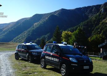 Irregolarità rilevate dai Carabinieri Forestali nell’operato di un’azienda nel Comune di Fossato di Vico. Portate alla luce diverse violazioni paesaggistiche