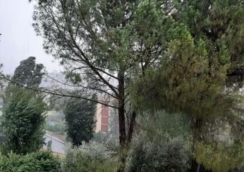 Perugia, ambiente: il Comune crea la Consulta del Verde