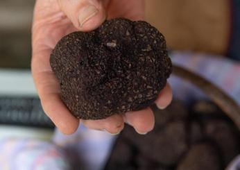 L’oro nero dell’Umbria: i migliori ristoranti dove mangiare il tartufo in Umbria