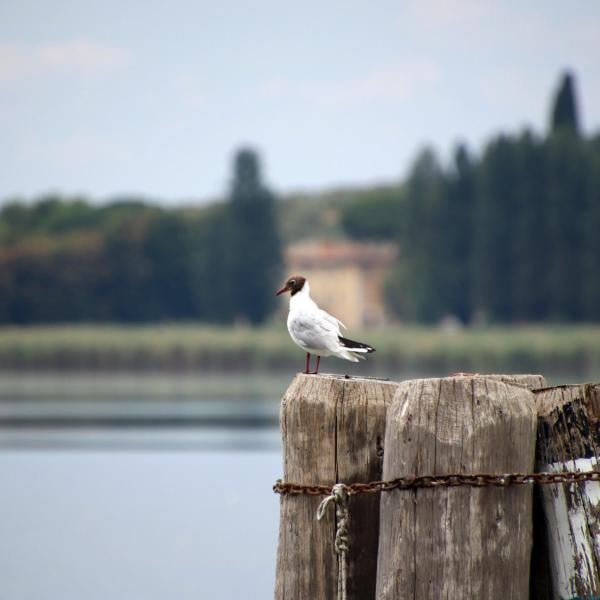 Weekend romantico in Umbria: ecco cinque luoghi in cui portare il partner