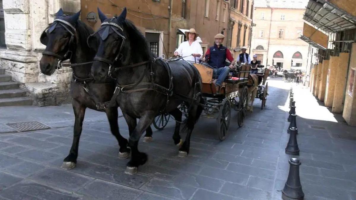 54^ Mostra nazionale del cavallo a Città di Castello: un viaggio di pace e uguaglianza