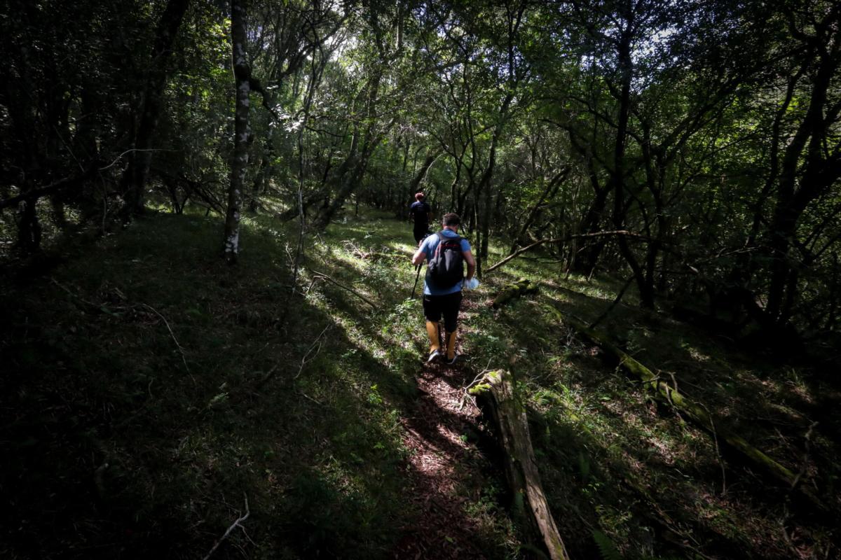 Riapre il Cammino della Pietra Bianca con 14 tappe: quanto sono lunghe e cosa vedere