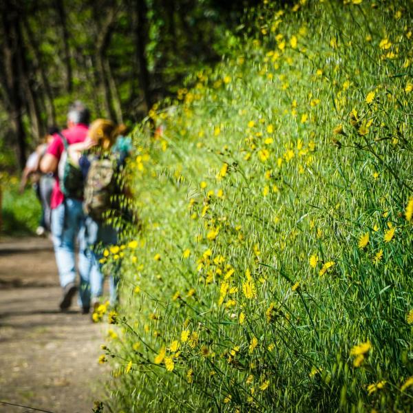 Orvieto Walking Marathon, tutto pronto per domenica 14 aprile