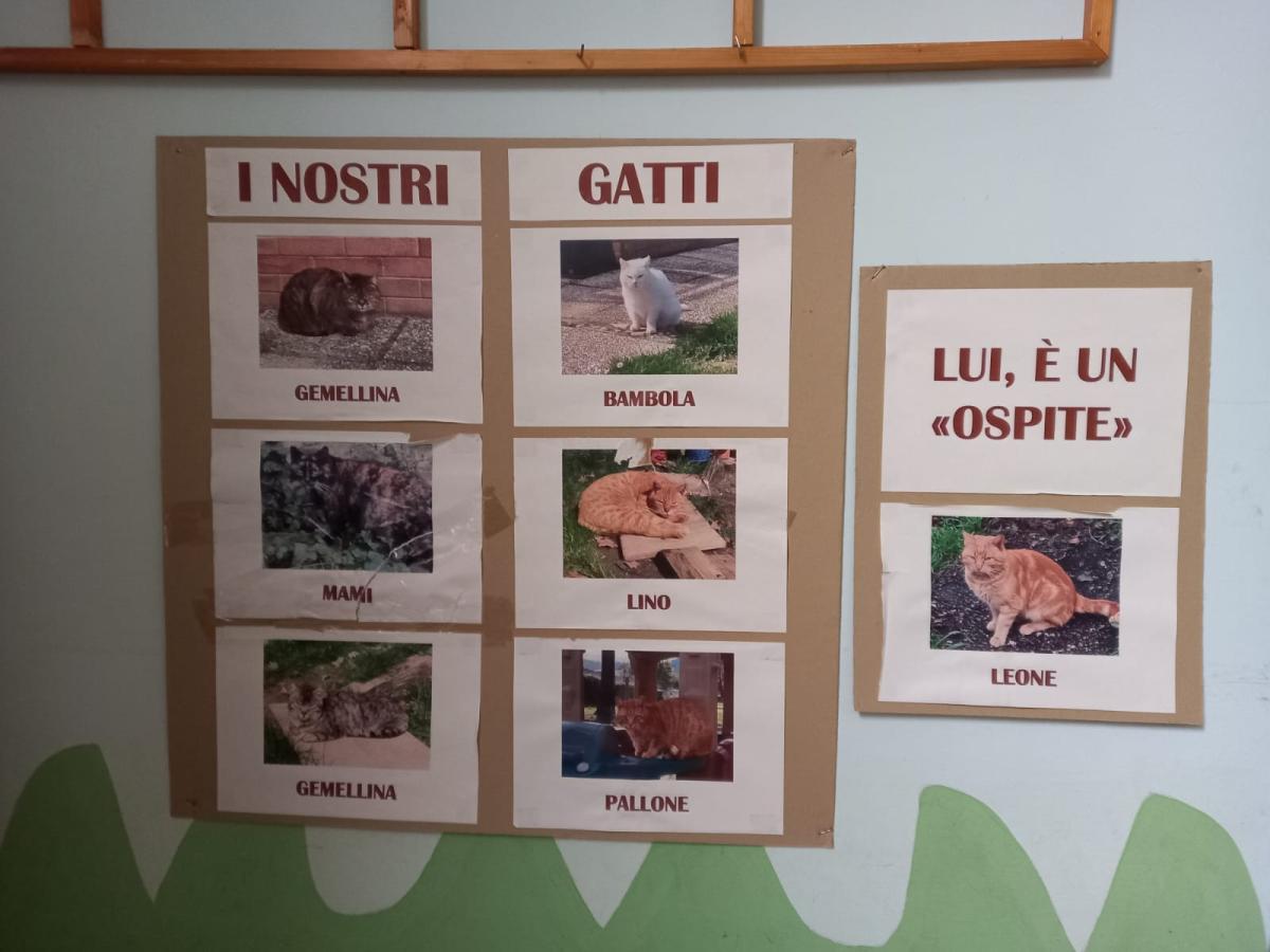 4 ottobre, Giornata mondiale degli animali: a Perugia c’è una Consulta per tutelarne i diritti