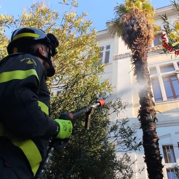 Mattinata movimentata a Terni: Ipsia in fiamme e Piazza dell’Olmo senza olmo