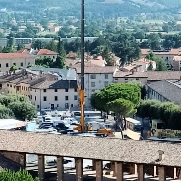 Giardini di Piazza 40 Martiri, Scavizzi: “Non sono l’area verde di un autogrill”