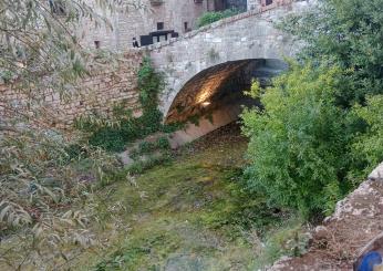 Odore nauseabondo lungo il torrente Camignano, protesta dei cittadini