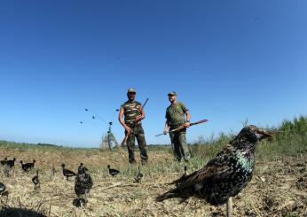 Caccia ufficialmente al via da domani. Desideri (Federcaccia Umbria) contro “i finti ambientalisti”