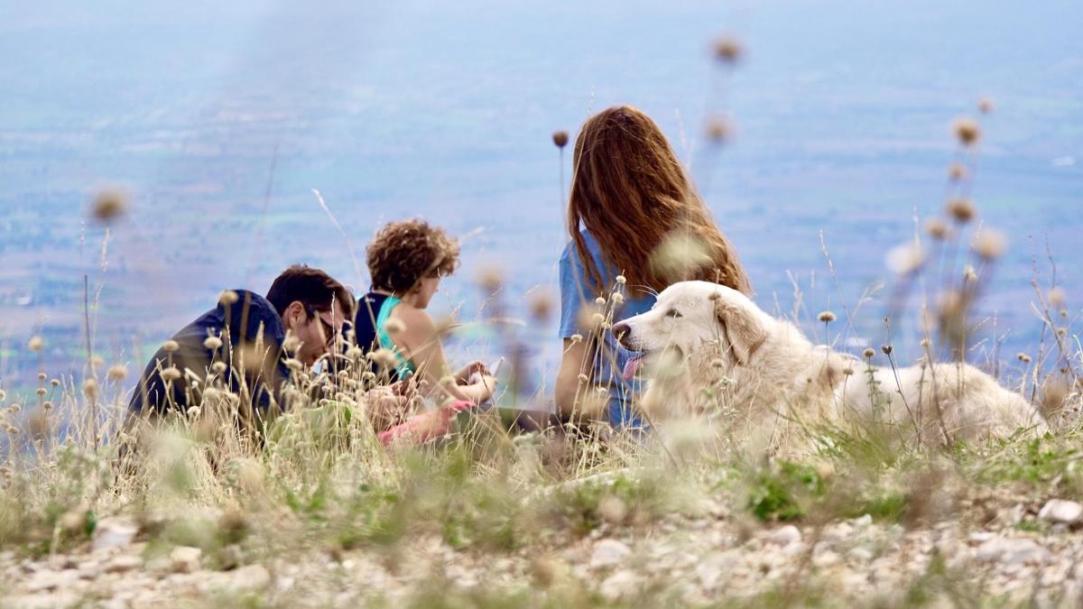 Cammino per gli animali, da Assisi a Roma, in nome dell’amore e del rispetto di tutte le creature: il programma