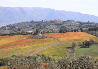 L’Umbria è la regione italiana preferita dai turisti: in aumento i numeri delle visite